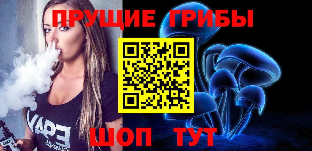 Братск  Псилоцибиновые грибы GOLDEN TEACHER  Вход с VPN  Псилоцибиновые грибы GOLDEN TEACHER 